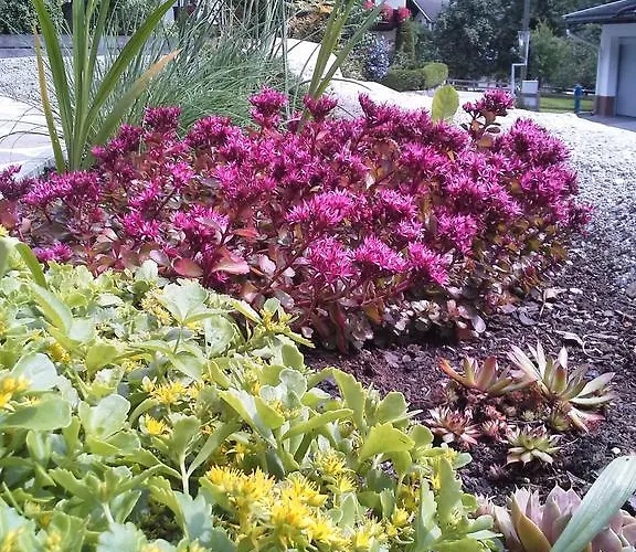 Apartment Haus Elfriede