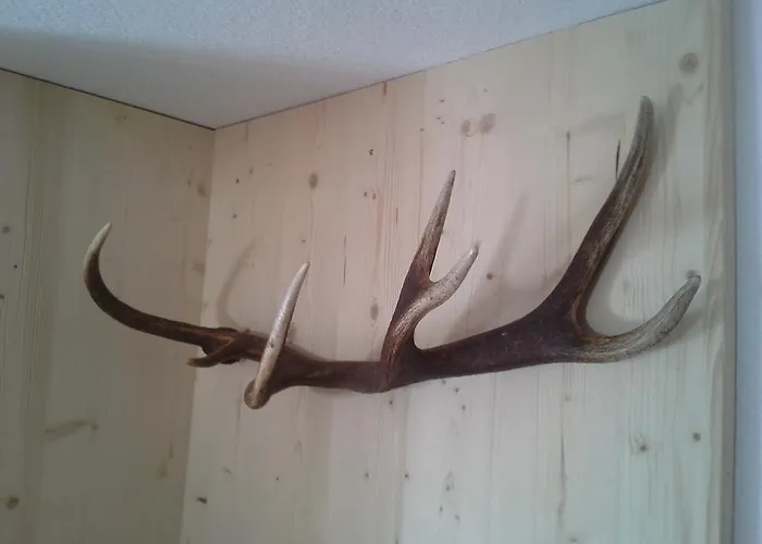 Διαμέρισμα Haus Elfriede