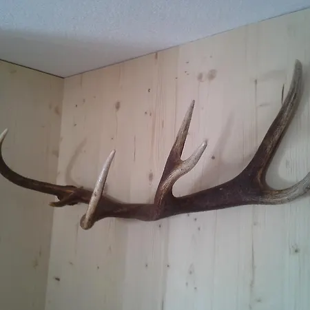 Apartman Haus Elfriede