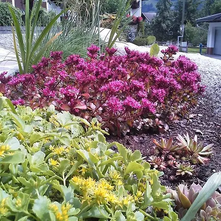 Apartmán Haus Elfriede